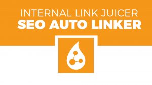 Crea ENLACES INTERNOS automáticos con Internal Link Juicer: SEO Auto Linker