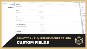Custom fields o campos personalizados para coches - DELUJO