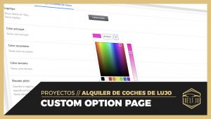JET Engine Option Pages - Panel de opciones para el negocio - DELUJO