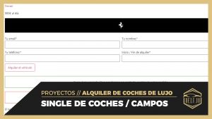 SINGLE de coche - Inserción de campos personalizados - DELUJO