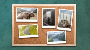 Los estilos de capa en Photoshop