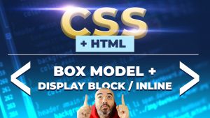 BOX MODEL + Display Block, Inline, Inline-Block y Box Sizing
