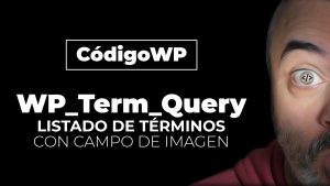 WP_Term_Query: Consultas personalizadas de terms o categorías (incluye campo de imagen)