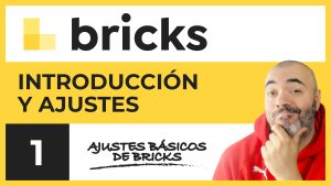 Introducción y ajustes | CURSO de Bricks