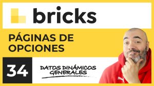 Páginas de opciones dinámicas | Curso de Bricks