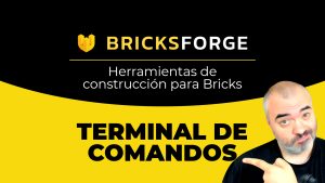 Usa Bricks aporreando teclas | Bricksforge terminal
