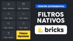 PRIMERAS IMPRESIONES | Filtros nativos para Bricks